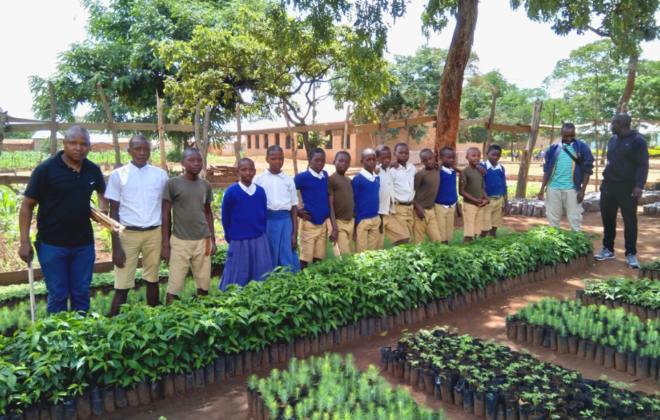 Plantar árbol Tanzania