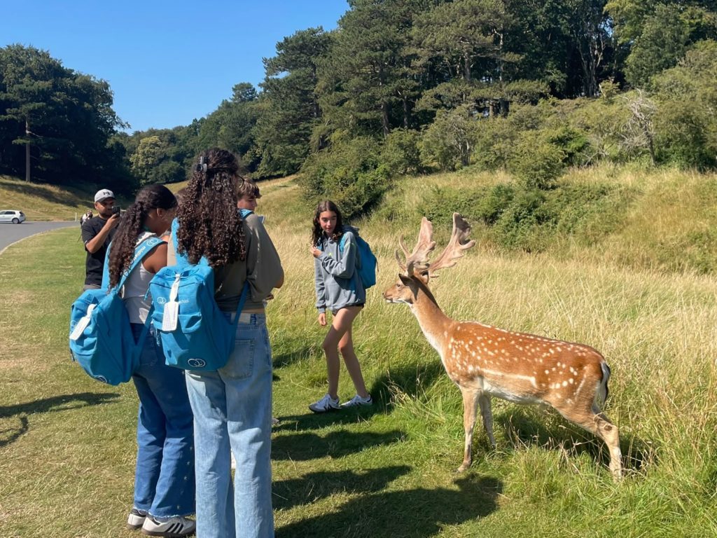 curso verano en Dublin