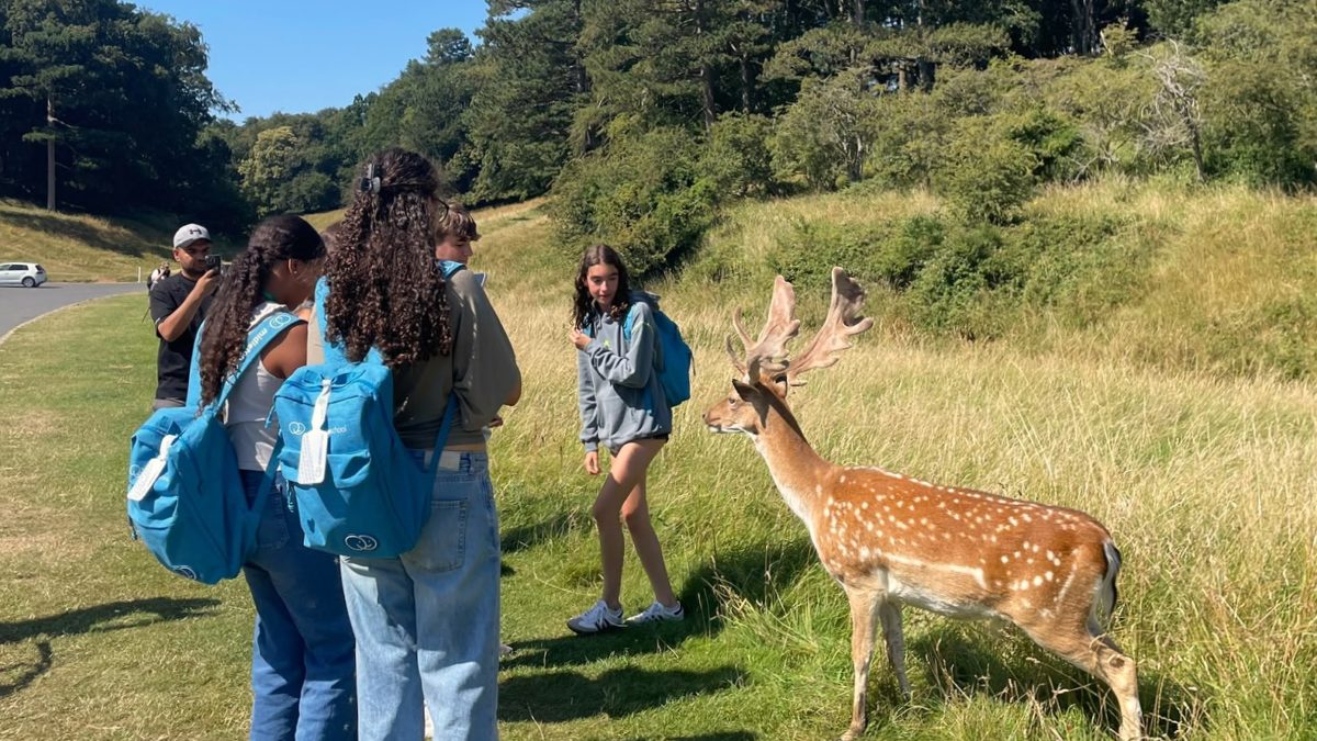 curso verano en Dublin