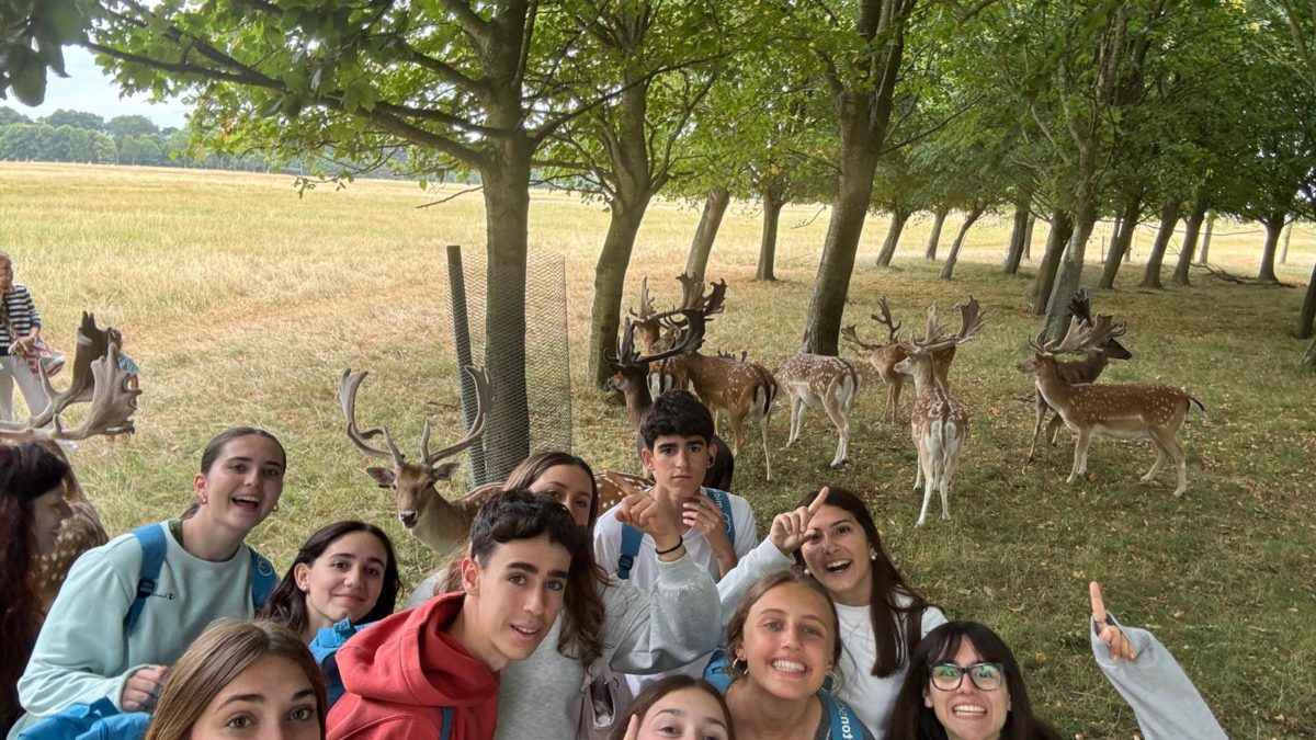 dublín fce y cae midleton school