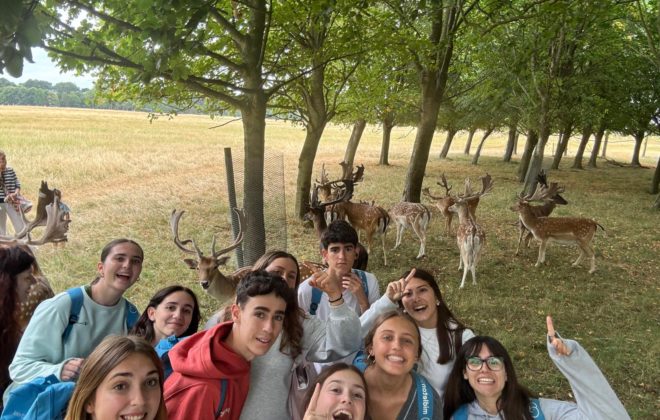 dublín fce y cae midleton school